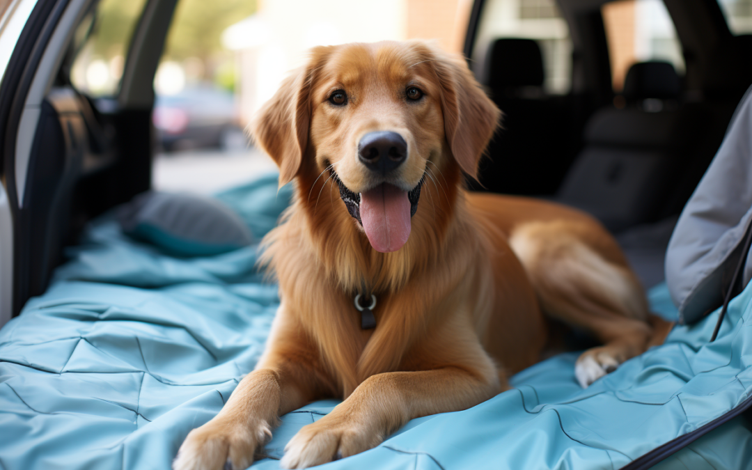 Canine-Friendly Cars: Essential Vehicle Features for Dog Owners